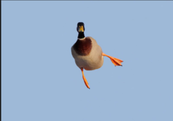 b26b7757-aa69-4afb-9a5c-ffeaf29e83c8