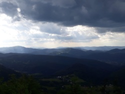 7054d29c-7ae3-4887-9c2e-a081bc904445