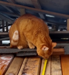 8308515e-7a4b-4d85-bb4c-6590c88d40d4