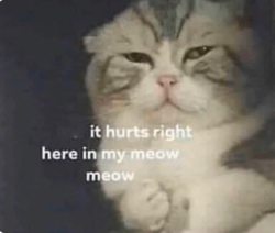 46518e6a-05a8-4602-be8e-9bdf406eedd9