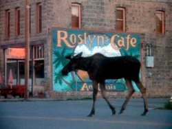 066b4250-f553-43ac-8ec1-ffbc2a02f4d3