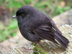 27807e05-7a2e-47ae-97c2-8a860e985b6c