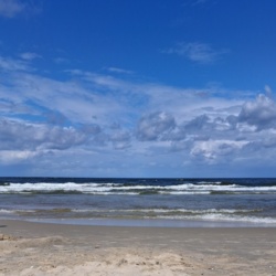 8a781b22-3c59-48f4-81fb-1b655911a3d7