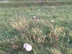 d2081035-d59a-483f-84aa-40c985f67347