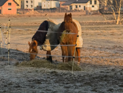 194aeca0-bd3a-499a-bc5f-31c64e9afe0e