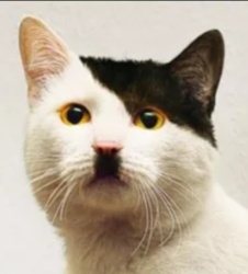 0dec70a0-3ad3-4764-8744-78799e45e393