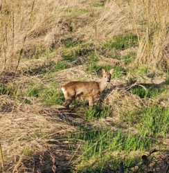 16d1cddf-da8d-4c51-9e48-65948b1306f1