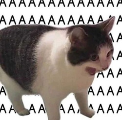 36ab9bb4-2f28-408f-bc32-9beb2a35b876