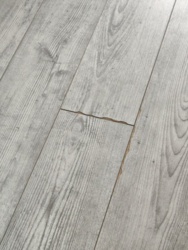 f3762861-73c6-4b96-9781-d085d92f724a