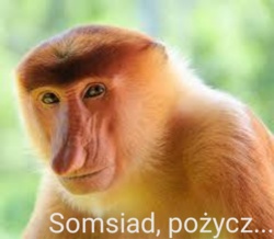 4f7c054f-44aa-46f7-94d2-8cf9e607e19e