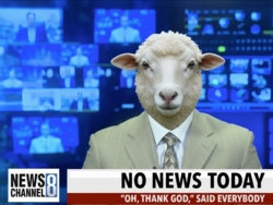 db5d2d61-5d3d-41a7-bc7a-9362d30f0a07