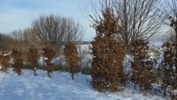 976709e4-c9b4-4496-a0d1-3b1c920ad8d6