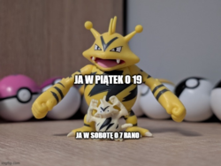 6a49e487-e476-4eeb-b162-de8db603fa2e