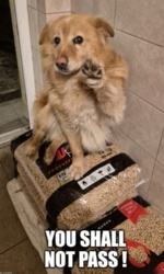 e5f97dd9-2c11-40e0-8d2a-ea8a58262998