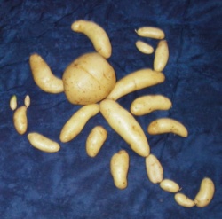 f6a2b379-32c7-4a6a-9d8d-3b867849b430