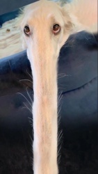 8e1320ee-92cf-4ee6-a64c-757d3a89463c