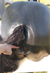 acd6a89a-b529-497d-9b29-f2308fc114cc