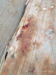 8a81a532-be7f-4559-bf13-85528c01c5b3