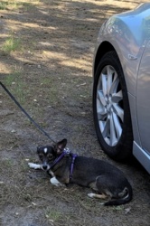 d4e70901-c71f-4b88-bbf7-5a75f4953cc0