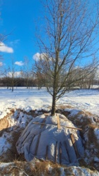 f3970429-67ab-4d36-b3d4-3ec6cde45ffd