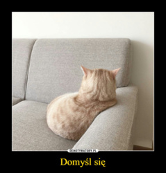 a1b68bcb-b6d1-4b6c-bb7d-9989aa38fd92