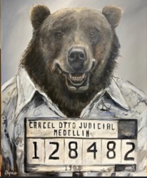 ed9202e7-1a48-4bf1-abd2-5cd44384d7ce