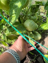 1f6a60a7-8d94-4b52-82c8-43db76a6932d