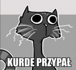 68867cf4-9837-4152-bb15-e7c24cc702ec