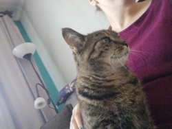 5f0d2b5d-5d59-4db3-a503-5e6dce6c31ed