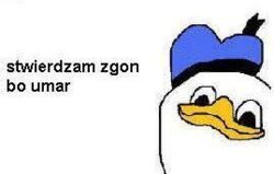 9b28b928-90e4-4e97-98ff-27948d376f0d