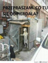 bab442fa-8913-4ac2-a36e-7b91b6b93d6d