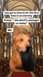 472eec59-adca-4a58-b614-48bf6161ee25