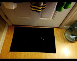 3ffda8ef-bd05-4a1a-acea-f3f80548bec8