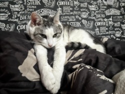 306a537e-d43c-4142-95d0-2861f24f9378