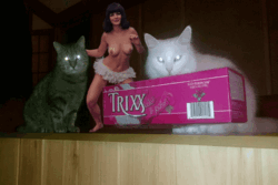 c9c7f34a-50c1-44db-a490-8cd19345b01b