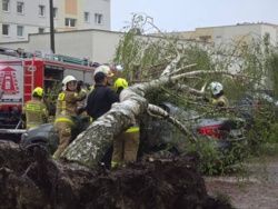 0c976293-5a02-43c1-90ba-bf3abea64aa5