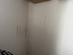 3a3e64fc-19b8-4574-9f2d-08719a3928de