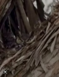 0b7c9b84-a43b-4564-ac10-4913f668f3d2