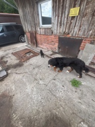 4a030dd1-ffcc-414d-b958-96198ddadbdb