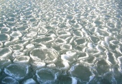 0b1ff744-f841-4036-880d-33c934004060