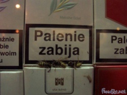 0973bb0f-8a50-4c9a-949a-74058218c83e