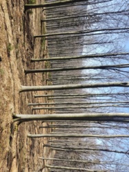 b2897792-bfc3-4a8f-a407-f444649a2333