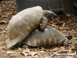 6fa9d66e-98b7-43d4-a90f-b5e895f9dab4