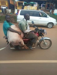 f06cec2e-6b58-4aec-9495-417045b5c060