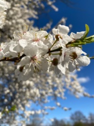 bc29a1a5-2d86-4652-b90b-0fec530cee95