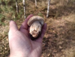 d3630ccc-5f4a-4365-9121-9f91cdbe7a1a