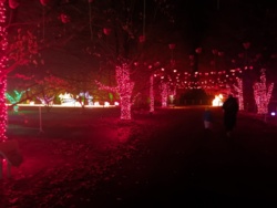 4988063e-ce70-4278-b71f-d3570ebd423a