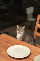 e2a1cae9-ea1f-439d-b72d-81d16e7f5f18