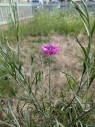 f3e9034a-48fc-475b-9a48-d36294d165c1