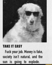 e4257843-32c6-4dd0-8ccf-4d51d7fbdb36